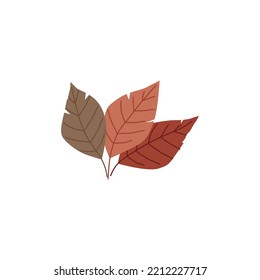 Herbstblätter, flache Vektorgrafik einzeln auf weißem Hintergrund. Rote und gelbe Blätter. Konzepte der Herbstsaison, der Natur und des Laubes. Zeichnung von Botanik-Elementen.