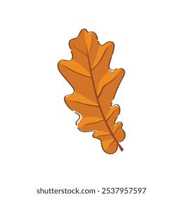 Autumn Leaves And Flower Illustration - 02