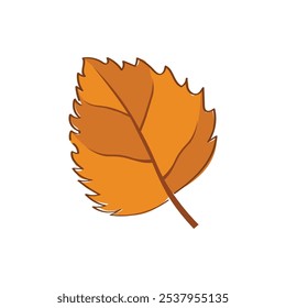Autumn Leaves And Flower Illustration - 04