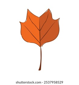 Autumn Leaves And Flower Illustration - 11