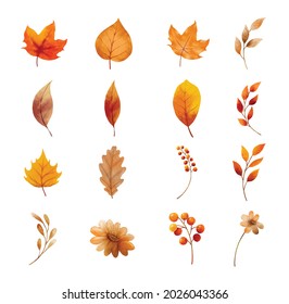 Autumn leaves and flower set isolated on white background. Leaf with watercolor style.