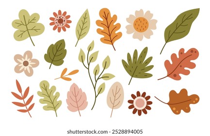 Autumn leaves and flowers set, cute hand drawn seasonal objects. Vector illustration in flat style