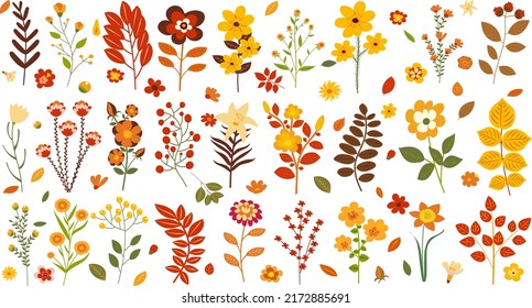 hojas y flores de otoño en diseño plano, vector aislado