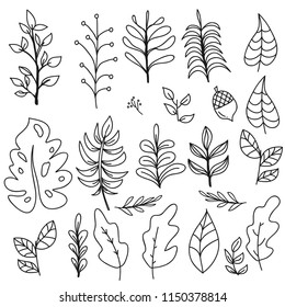 autumn leaves and flowers vector