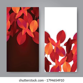 Autumn leaves flyer background set. Fall banner template. Red and orange foliage. Thanksgiving season holiday concept. Realistic 3d vector illustration.