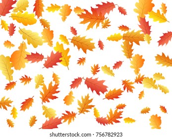 Autumn leaves flying and falling down vector illustration. Red, yellow, orange and brown dry oak tree leaves background autumn pattern on white.