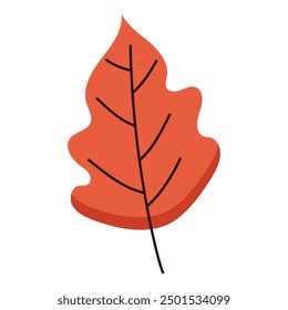 Autumn leaves foliage leaf silhouette forest.