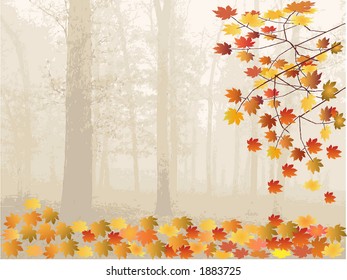 Autumn Leaves and forest - vector illustration