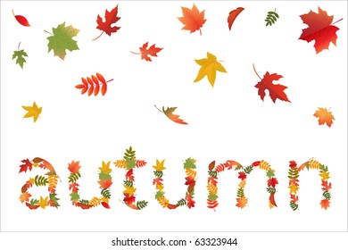 Autumn Leaves In Form Of Word, Isolated On White Background, Vector Illustration