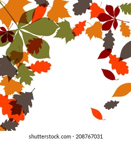 autumn leaves frame