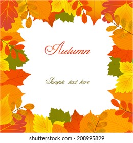 autumn leaves frame