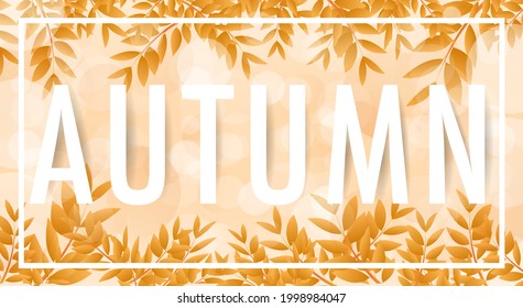 Autumn with leaves and frame background  isolated on bokeh background , illustration Vector EPS 10