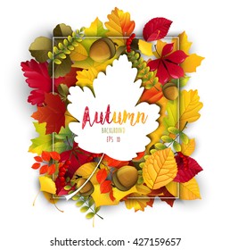 Autumn leaves frame background with autumn leaves silhouettes.Vector