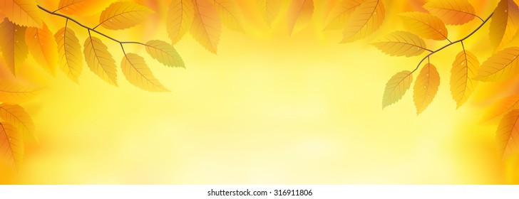 Autumn leaves frame background, vector illustration