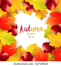 Autumn leaves frame background.Vector