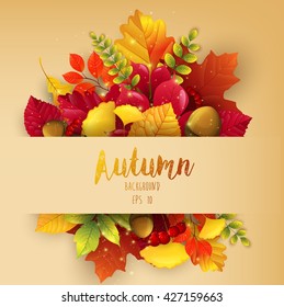 Autumn leaves frame background.Vector