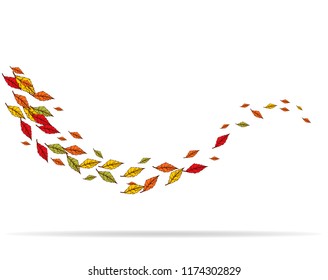 Autumn leaves frame, banner, natural design elements isolated on white background with shadow