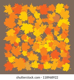autumn leaves frame concept