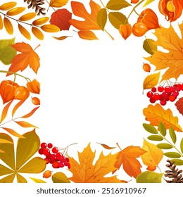 Autumn leaves frame design with cartoon fall leaves, berries, pine cones, physalis plant.