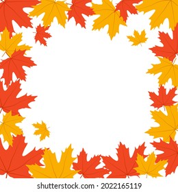 Autumn leaves. Frame with fall maple leaves on white background. Fall background. Vector illustration