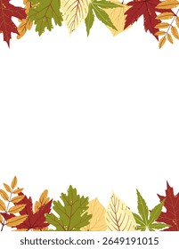 Autumn Leaves Frame. Fall Leaves Rectangle Frame. Botanical Vector Flat Illustrations