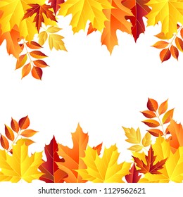 autumn leaves frame, isolated on white background. vector illustration. colorful fall red and yellow leaf Back to school border design elements