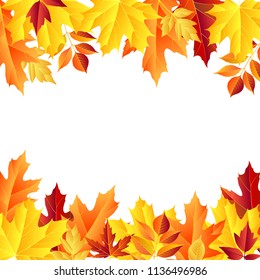 autumn leaves frame, isolated on white background. vector illustration. colorful fall red and yellow leaf Back to school border design elements