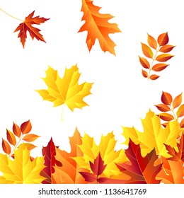 autumn leaves frame, isolated on white background. vector illustration. colorful fall red and yellow leaf Back to school border design elements