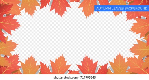 Autumn leaves frame on transparent background. Vector autumnal foliage of maple leaves. Autumn background design.