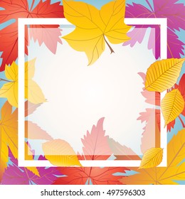 Autumn leaves frame. Autumn Sale background. Fall border. Maple leafs. Autumn leaves background. Leaf. Fall sale, fall leaves, thanksgiving. Fall season, fall trees, pumpkin. Vector illustration. 
