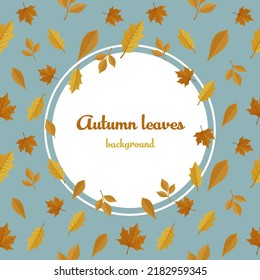 Autumn leaves frame. Square card background design with Autumn leaves background. Colored flat vector illustration