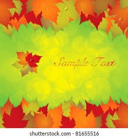 Autumn leaves frame with text.Vector