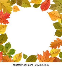 Autumn Leaves Frame Vector Cartoon Illustration Stock Vector (Royalty ...