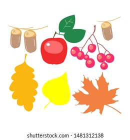 Autumn leaves, autumn fruits, viburnum fruits, herbarium, vector drawings on the theme of autumn
