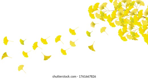 Autumn leaves ginkgo autumn background