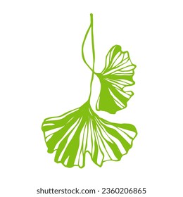 Autumn leaves of ginkgo biloba. Vector graphics.