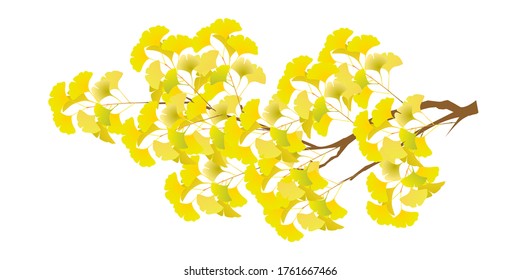 Autumn leaves Ginkgo autumn icon