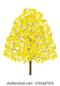 Autumn leaves Ginkgo autumn icon