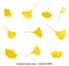 Autumn leaves ginkgo illustration set