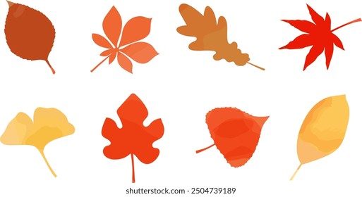 Autumn leaves, ginkgo, maple, leaves, fallen leaves, leaf set, vector illustration