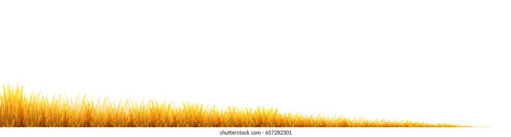 Autumn leaves Grass landscape background
