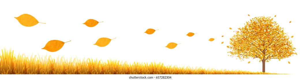 Autumn leaves Grass landscape background