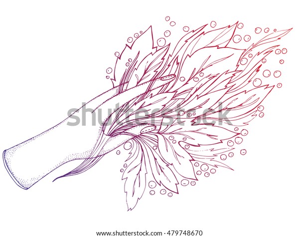 Autumn Leaves Hand Bouquet Fallen Leaves Stock Vector Royalty Free