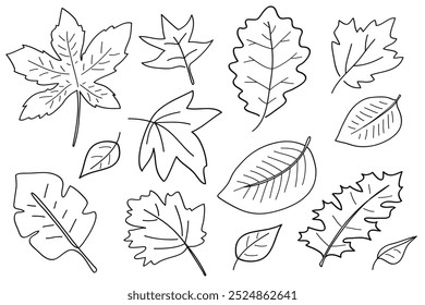 Autumn leaves hand drawing line collection.Vector illustration