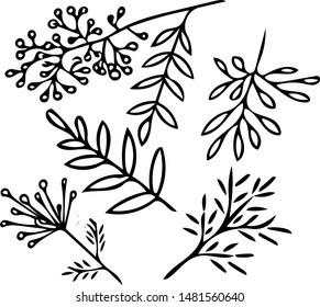 autumn leaves hand drawn black lines on a white background set elements vector graphics doodle scandinavian