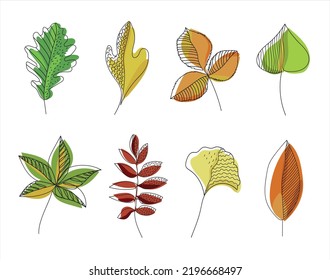 Autumn leaves hand drawn design. Minimalism art. Doodle leaves. One line design leaves with colored elements. Vector hand drawn illustration.