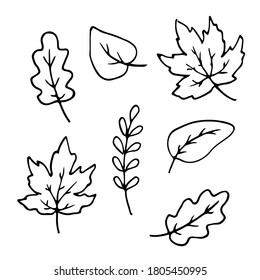 Autumn leaves hand drawn doodle set. Maple oak birch sketch Outline for postcard poster pattern. Stock vector illustration isolated on white background.