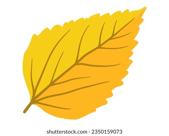 Autumn leaves. Hand Drawn Autumn Leaf Illustration