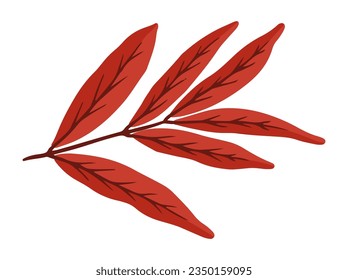 Autumn leaves. Hand Drawn Autumn Leaf Illustration