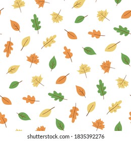 Autumn leaves hand drawn pattern. Leaf fall season. Vector leaves illustration isolated on white.